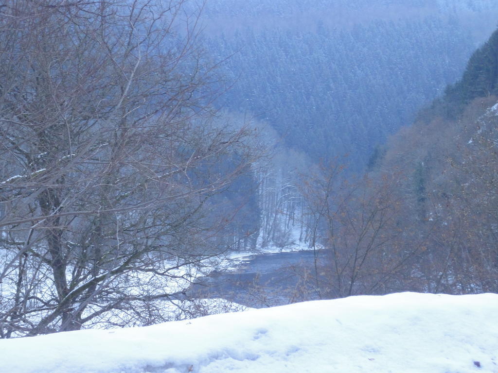 Gite Des Evets La-Roche-en-Ardenne Eksteriør billede